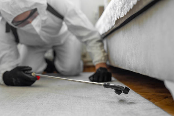 Professional Ant Control technician working in Charlotte, TX
